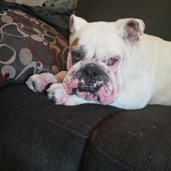 Meet your Posher, Jason - Picture 1 of 1